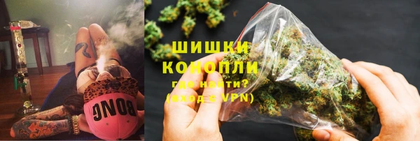 стаф Верея
