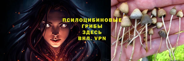 соль курить ск Бородино