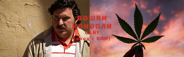 стаф Верея