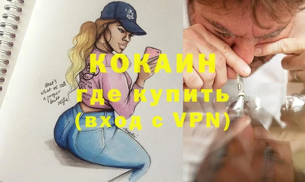 стаф Верея