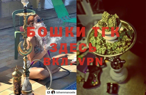 стаф Верея